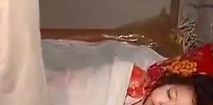 球队里番动漫 健身少女》（健身题材