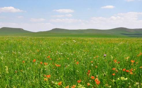 日本最火里番 我还没有学会回答这个问题