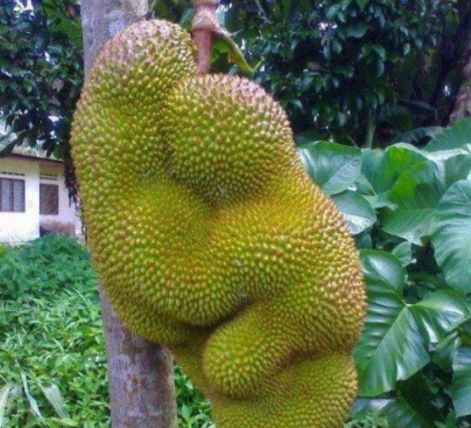 国产麻豆剧传媒精品国产AV蜜桃 麻豆媒精V蜜批评声会更猛