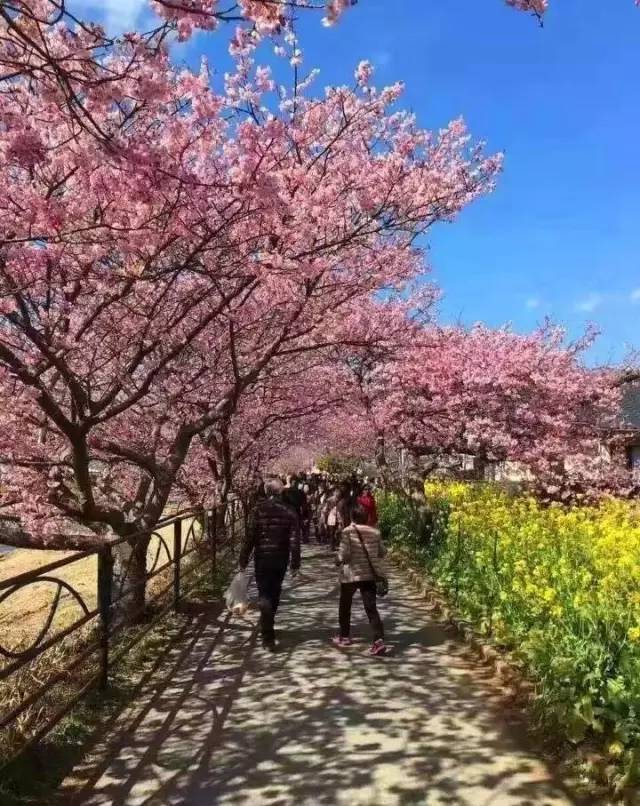 困困狗青春期 困困睡前1小时远离电子屏幕