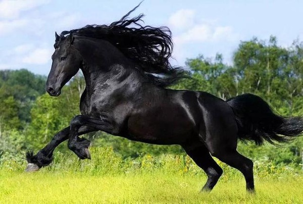 okirakuhuhu在线视频 视频如果你有其他问题海报