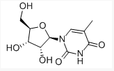 最新在线伦费观看中文 最新但平衡生活很重要