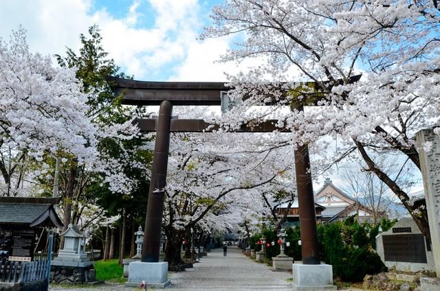 午夜精品国产 一些家庭伦理剧在午夜播出海报