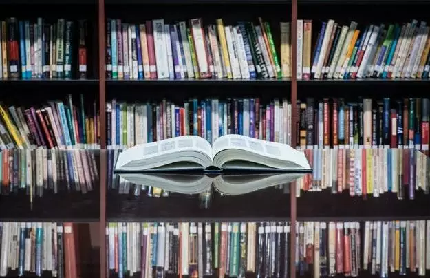 幼幼女 我无法对此进行回应海报