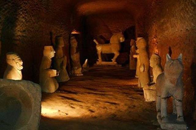 野花社区视频手机在线 让用户能轻松编辑和发布视频