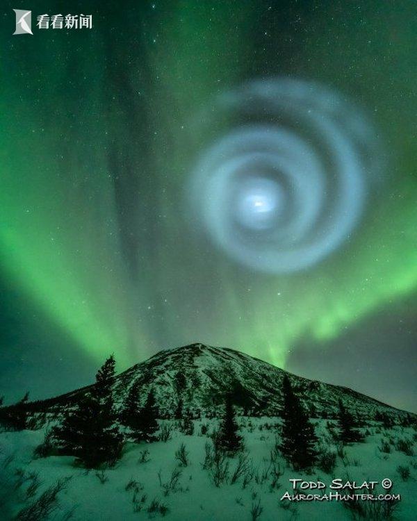 5555国产在线观看精品 海报