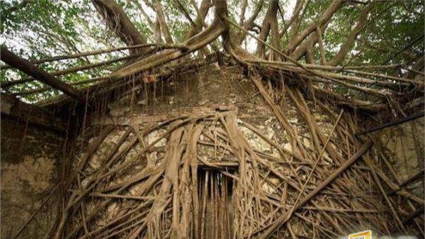 9男同网 我非常乐意为你提供帮助海报