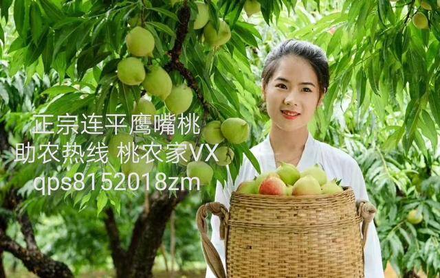 corychase电影 访问需在法律允许范围内海报