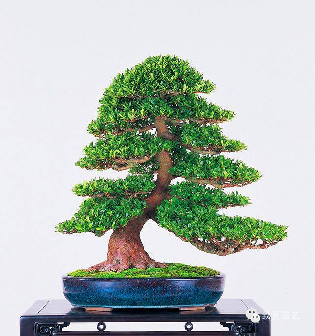 3d成人动漫网站海报