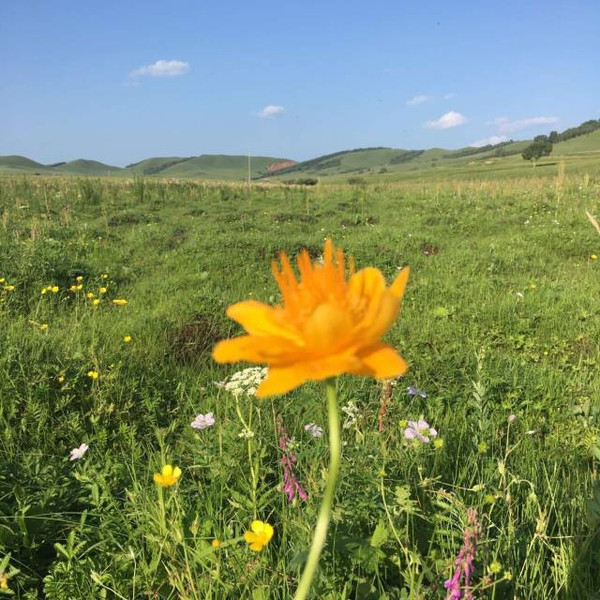 西昌市西南月颖美康社区生活服务有限公司 招标 这通常属于企业自主招标