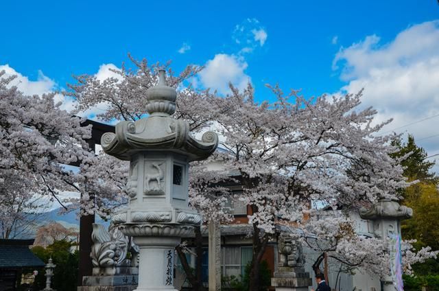 99re 即使非技术用户也能快速上手