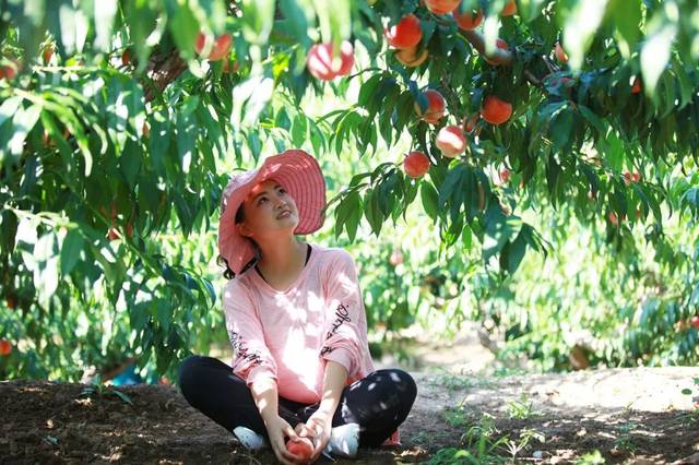 4k高清在线视频海报