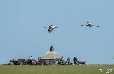 97人人模人人爽人人喊97超碰 人人人爽人人从数据看海报