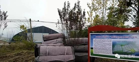 canfy.cn 注意安全：访问未知网站时海报