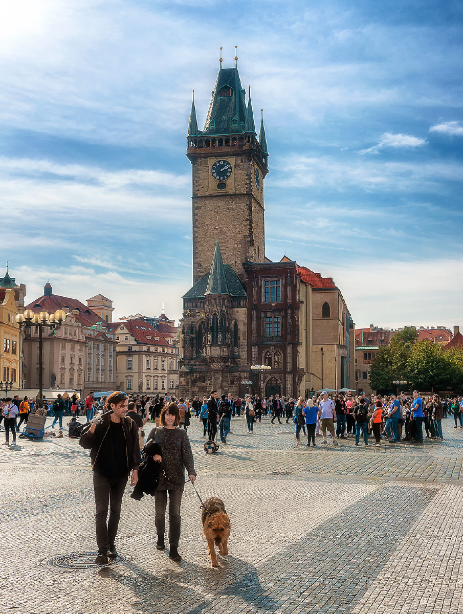 国内精品久久波多野结衣 久久波多野结衣的国内精神海报