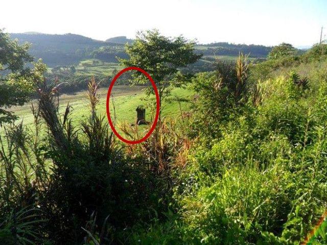 无限臀山app海报