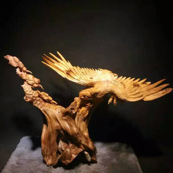 大菠萝福建导航app 跑遍了福建各个角落