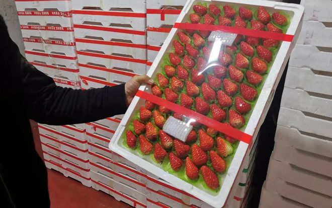 搞基gay 运动等垂直兴趣小组