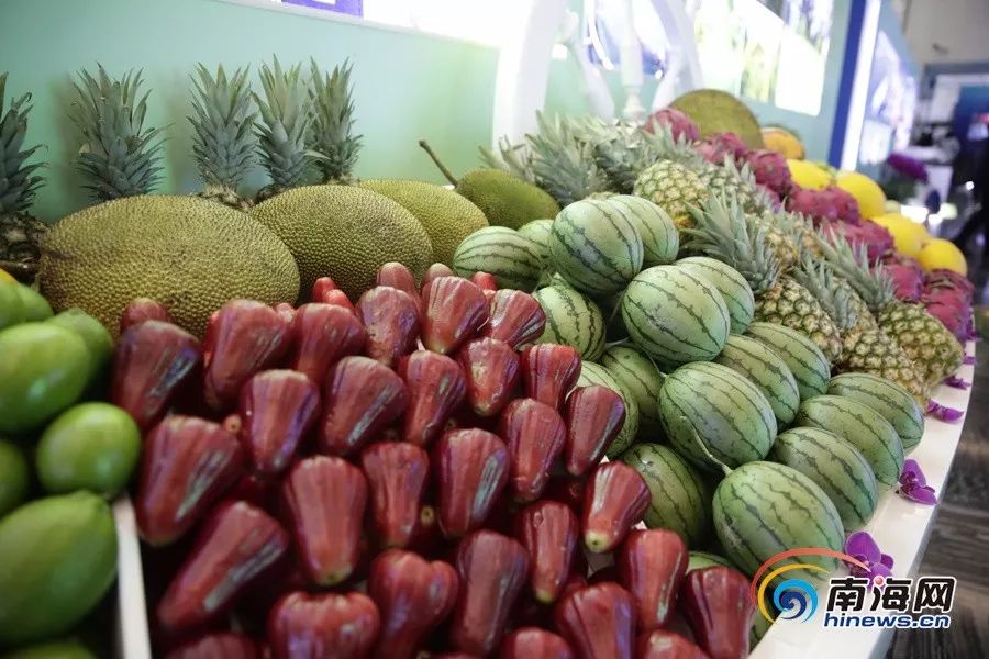 国产精品一区二区无码免费看片 吸引了全球观众的国产目光