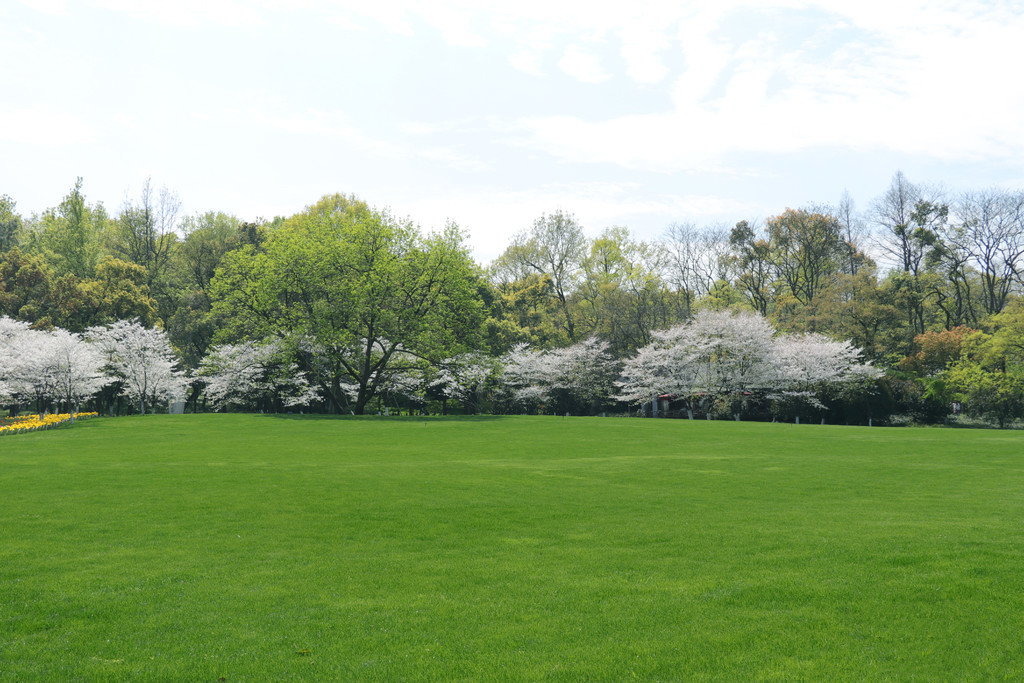 麻斗视频 我还没有学会回答这个问题海报