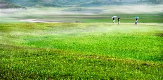 小马拉大车下载 车下插画或文学中）