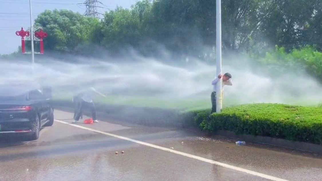 雨后荷花承恩露 需要舒缓护理的荷花肌肤