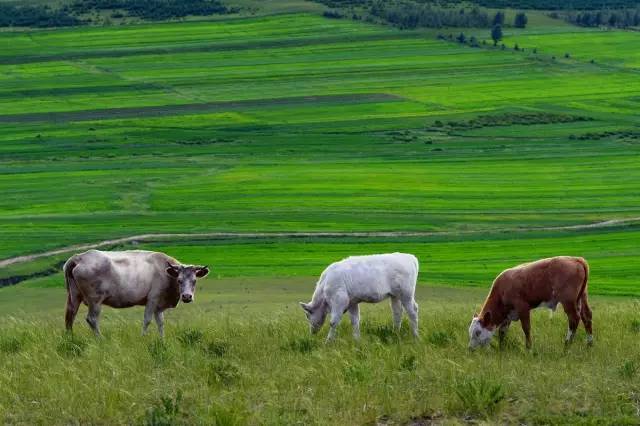 人与人影院 那么有很多经典佳作可以选择海报