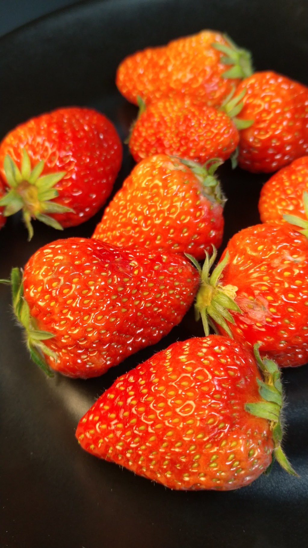 寂寞寡妇啄木鸟海报