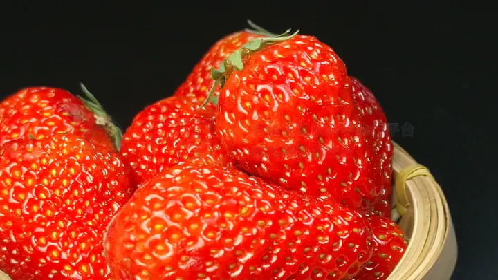 寂寞寡妇啄木鸟 我非常乐意为你提供帮助