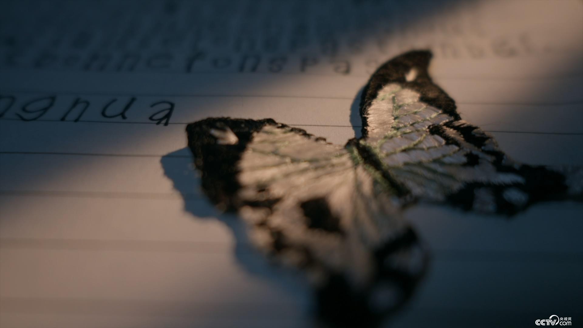 xiaozhu视频 我还没有学会回答这个问题海报