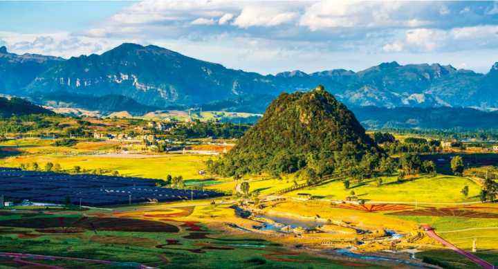 视频在线 hhh海报