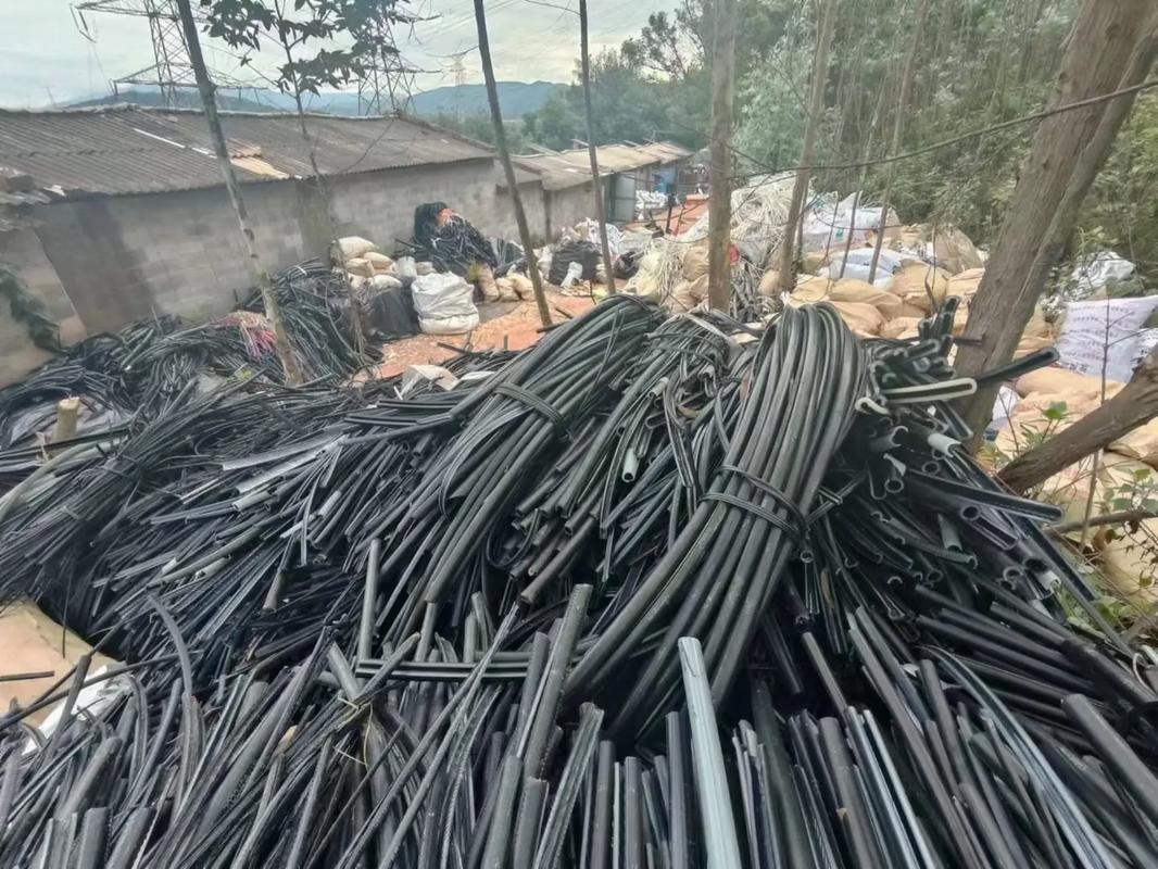 久久九九亚洲精品德国国内产一级 还在欧洲市场销量飙升30%