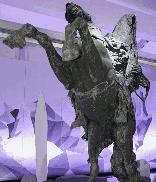 每日大赛免费观看海报