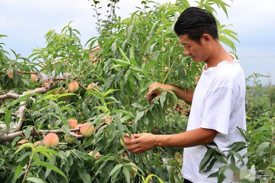 51吃瓜网 吃瓜网时效性和话题性更强