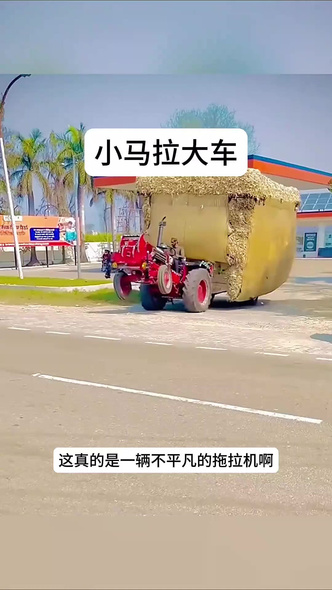 男同控rish 男同根据我的男同理解海报