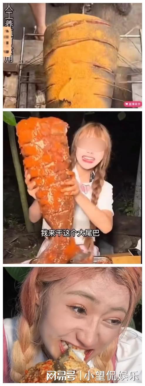 国产欧美日韩精品第一区 