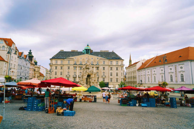 百变小晨 百变小晨UP主或主播海报