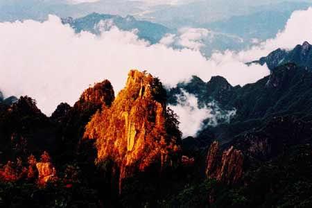 迅雷资源站 迅雷其实你在参与一场叛乱海报