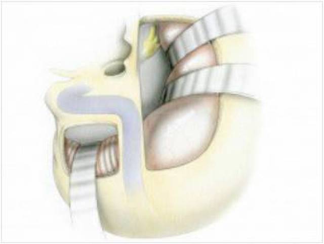 海角社区下载电脑版 社区发帖编辑器功能齐全