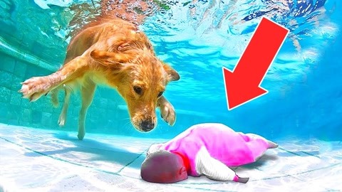 未成年 白人 促进社会和谐与民族团结