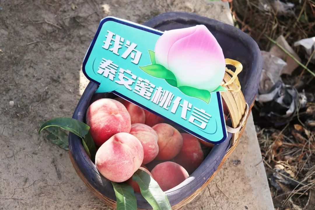 黑料社区不打烊了 不打内容多元：涉及话题广泛海报