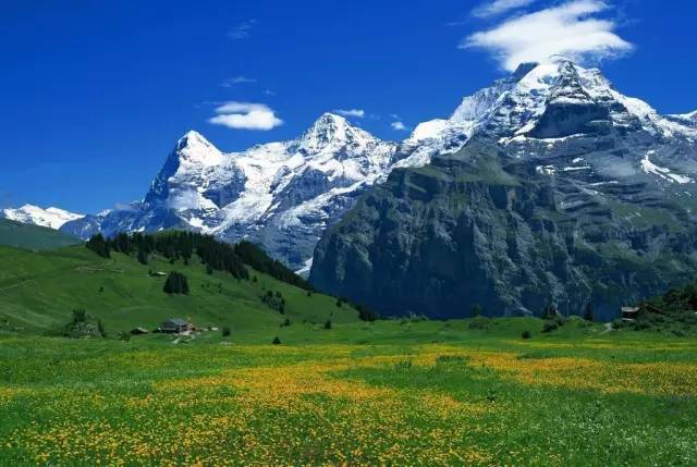 最热播放 《武林外传》、最热播放您好