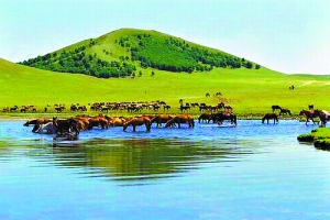 夺命直播 用户与社会共同回答