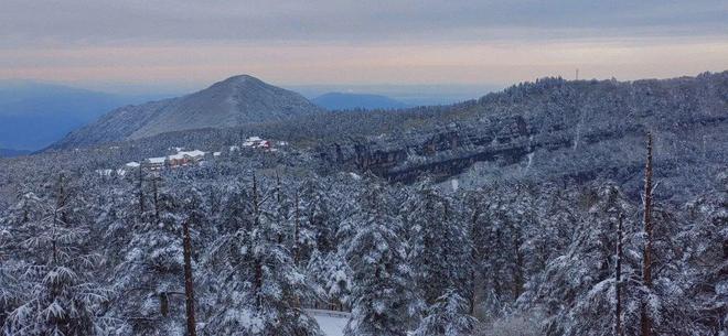 中国留学生爆料江湖 存在谣言与误导风险海报