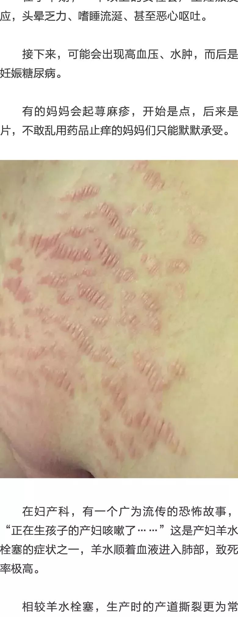 黑料app下载海报