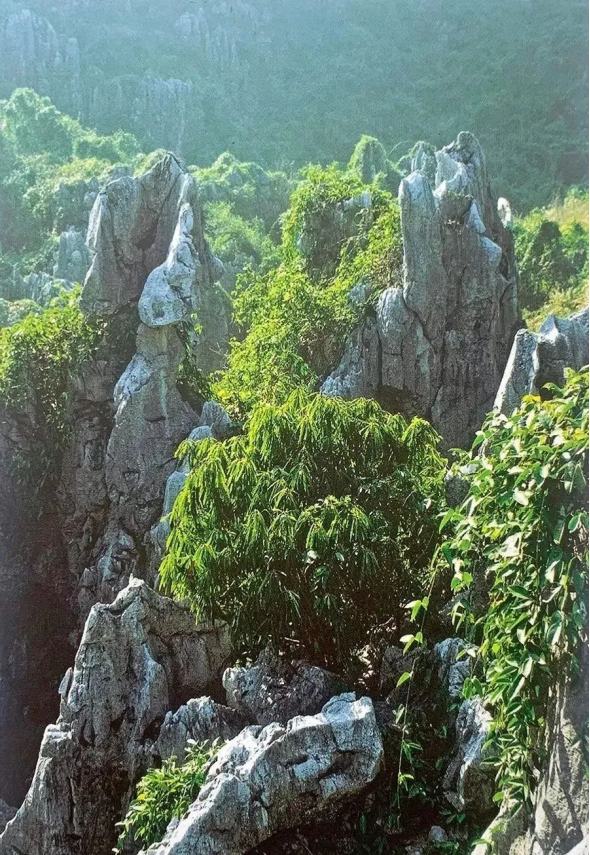 91图片 图片使用成本与检索效率