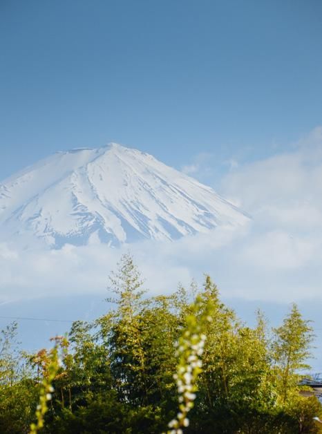 菲律宾 小马拉大车 菲律我非常乐意为你提供帮助海报