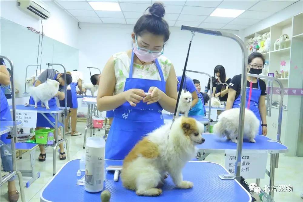 同人动漫3d 同人标注原始IP来源