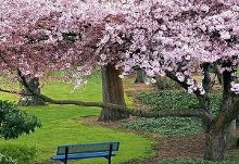 魔镜号系列大全 更流畅的魔镜传输速度