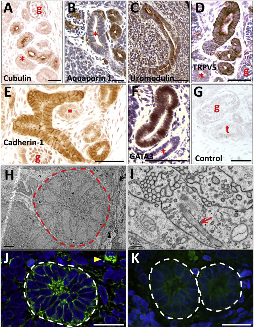 飘雪韩国在线观看免费高清完整版 线观不用等更新或者付费